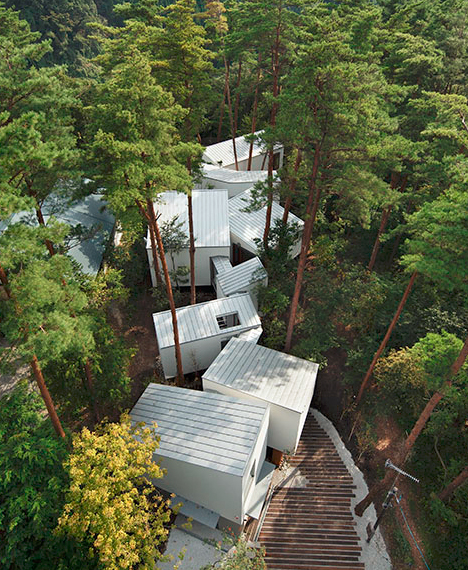 Quand l’architecture et la nature sont en symbiose