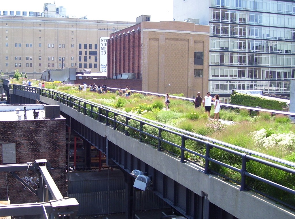 A l’horizon de New York, la High Line