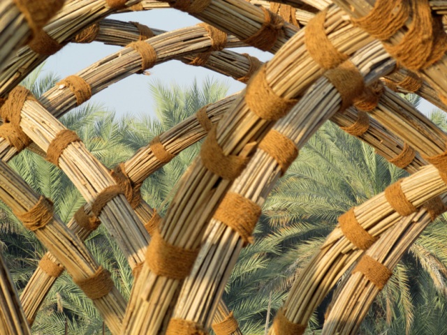 Plan de construction pour l'abri hivernal d'un palmier