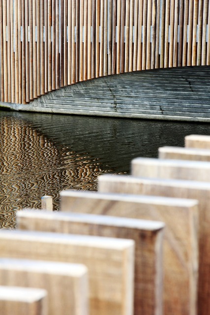 Une passerelle piétonne ou un perchoir pour chauves-souris ?