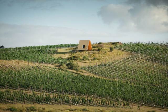 Au milieu des vignes, une chapelle