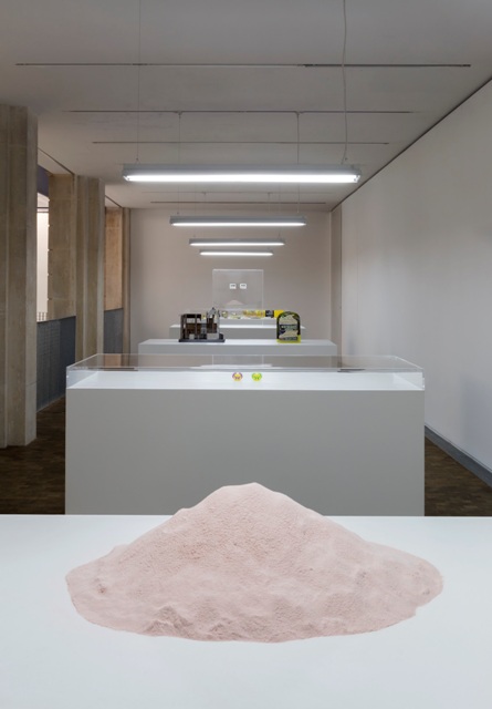 Simon Fujiwara, Revolution, Lafayette Anticipations, Paris, 2018. © Andrea Rossetti