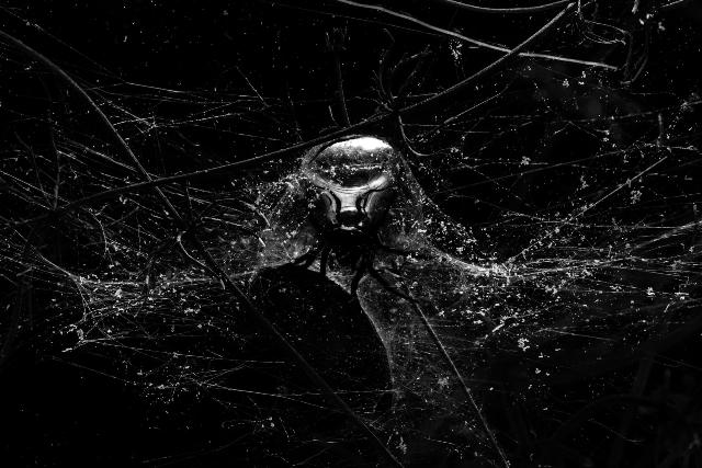 © Studio Tomás Saraceno
