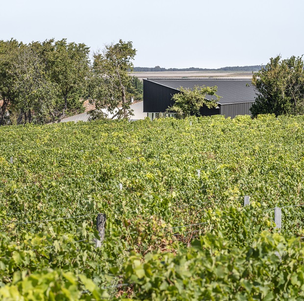 Le chai des Hauts de Talmont, un petit exploit signé Christian Biecher