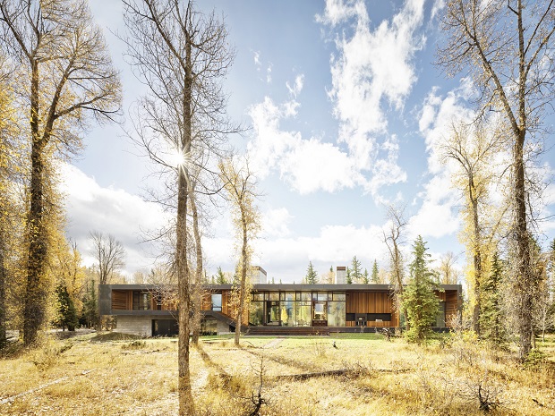 Riverbend, la maison enfouie dans la nature