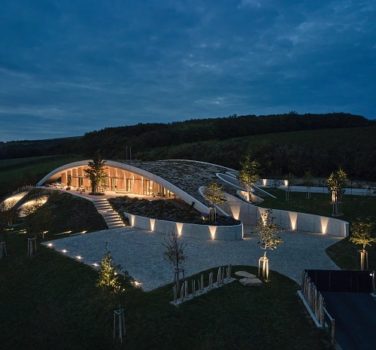 Au sein d’un vignoble, Aleš Fiala trace des lignes et des courbes